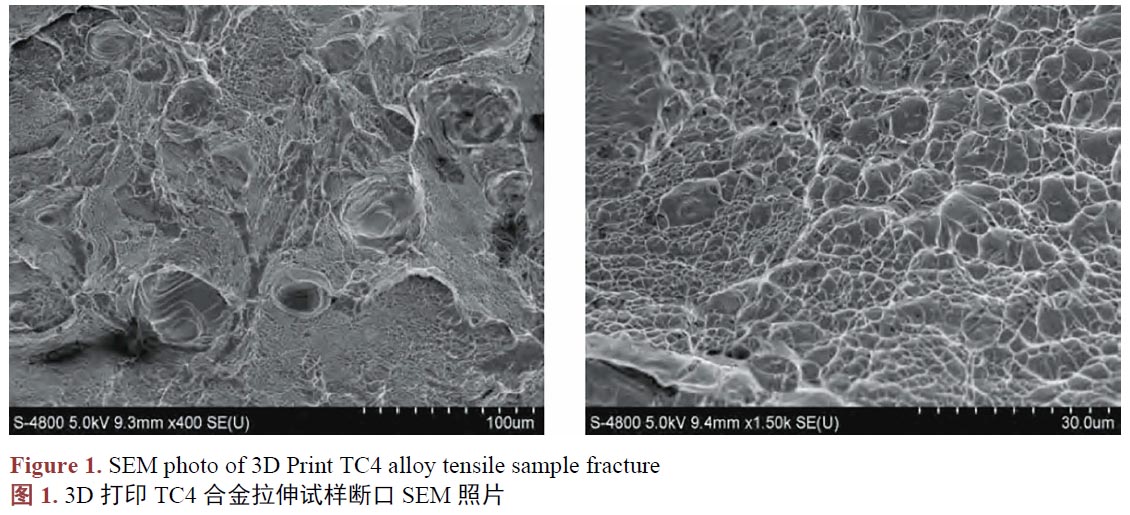 1671021299239839.jpg t1.jpg